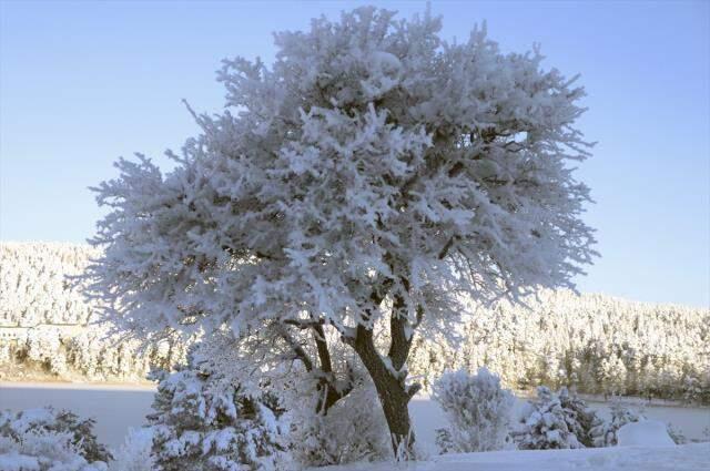 Meteoroloji'nin verilerine göre Bolu eksi 32 dereceyle bu gece Türkiye'nin en soğuk ili oldu Meteoroloji'nin verilerine göre Bolu eksi 32 dereceyle bu gece Türkiye'nin en soğuk ili oldu