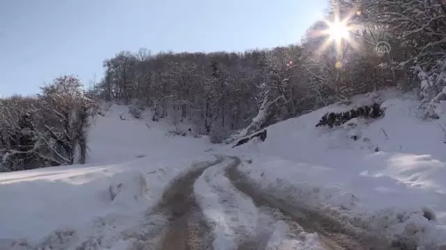Yabani hayvanlar için doğaya tonlarca yem bırakıldı Yabani hayvanlar için doğaya tonlarca yem bırakıldı