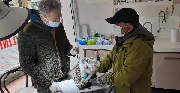 Avcıların vurduğu yaralı atmacalara doğaseverler yardım eli uzattı Avcıların vurduğu yaralı atmacalara doğaseverler yardım eli uzattı