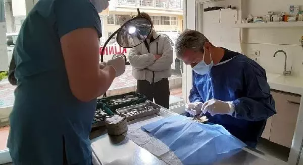 Avcıların vurduğu yaralı atmacalara doğaseverler yardım eli uzattı Avcıların vurduğu yaralı atmacalara doğaseverler yardım eli uzattı