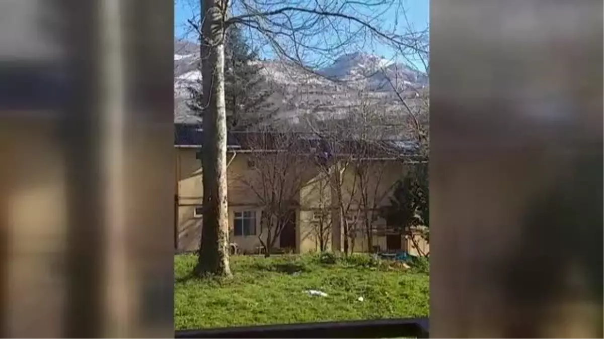 Babasının çatıdaki kediyi kurtarmasını izleyen küçük çocuğun duası yürekleri ısıttı