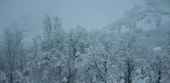 Beytüşşebap'ta kar güzelliği
