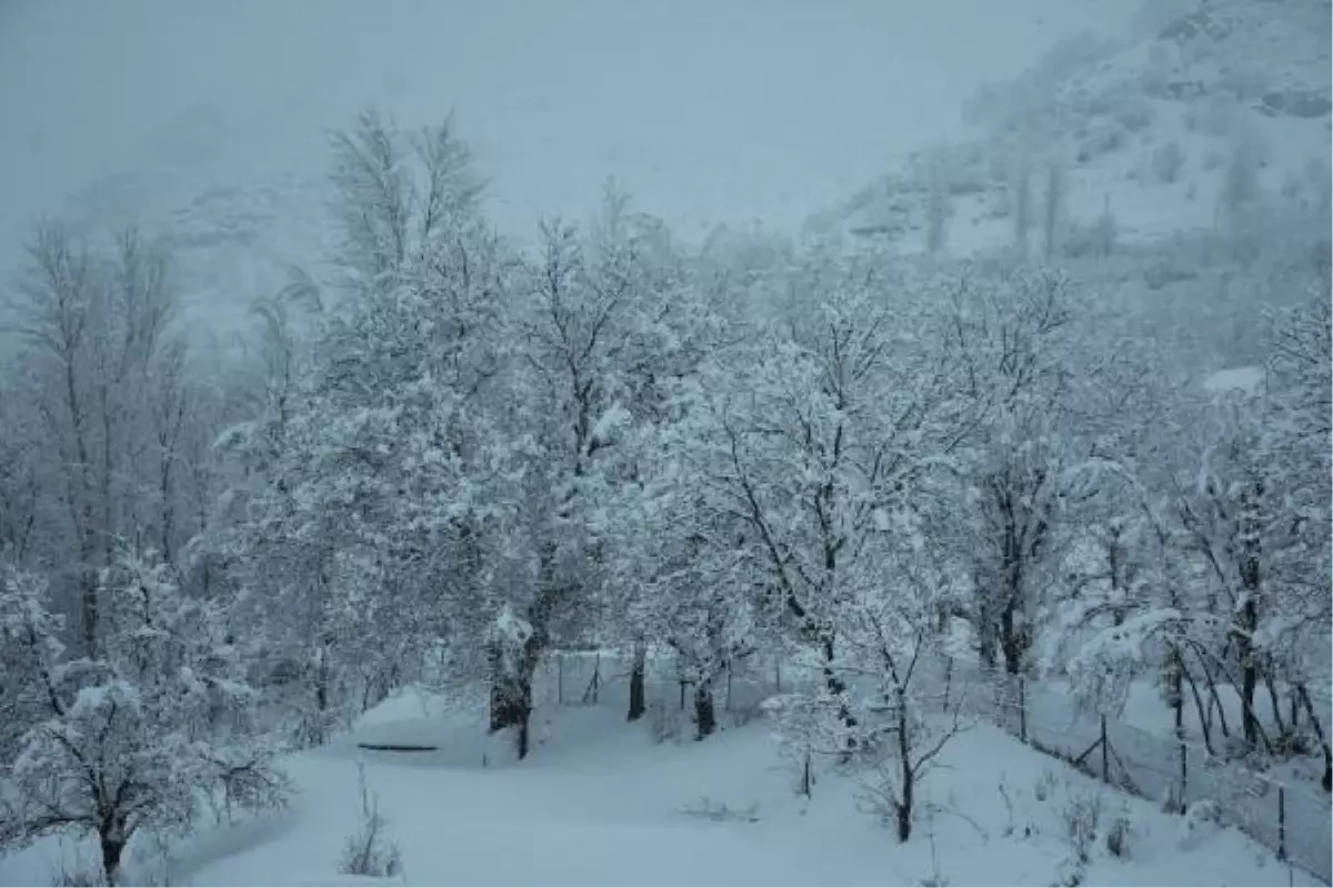 Beytüşşebap'ta kar güzelliği
