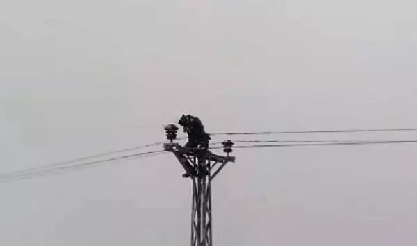 Bingöl'de, elektrik ekipleri tipi ve fırtınada köylere ulaşıyor Bingöl'de, elektrik ekipleri tipi ve fırtınada köylere ulaşıyor