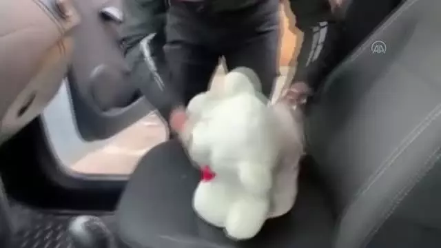 Denetimde durdurulan araçtaki oyuncak ayının içinden ruhsatsız silah çıktı Denetimde durdurulan araçtaki oyuncak ayının içinden ruhsatsız silah çıktı