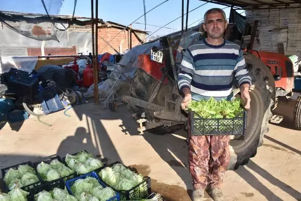 Edirne'de dona karşı sobalı ve zirai örtülü önlem Edirne'de dona karşı sobalı ve zirai örtülü önlem