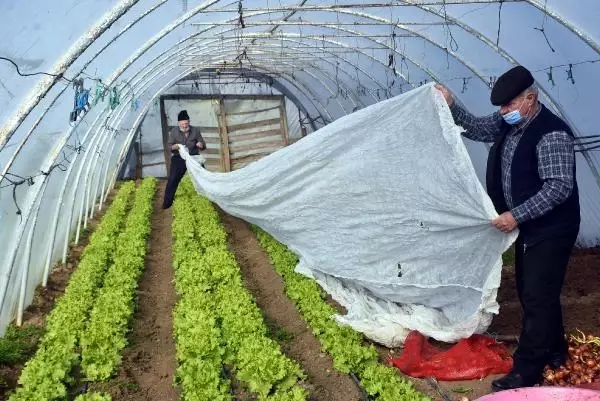 Edirne'de dona karşı sobalı ve zirai örtülü önlem Edirne'de dona karşı sobalı ve zirai örtülü önlem
