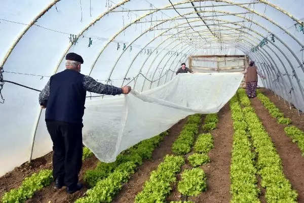 Edirne'de dona karşı sobalı ve zirai örtülü önlem Edirne'de dona karşı sobalı ve zirai örtülü önlem