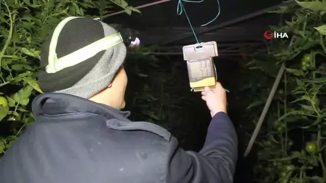 Fethiye'de sera üreticisinin sobalı don nöbeti Fethiye'de sera üreticisinin sobalı don nöbeti