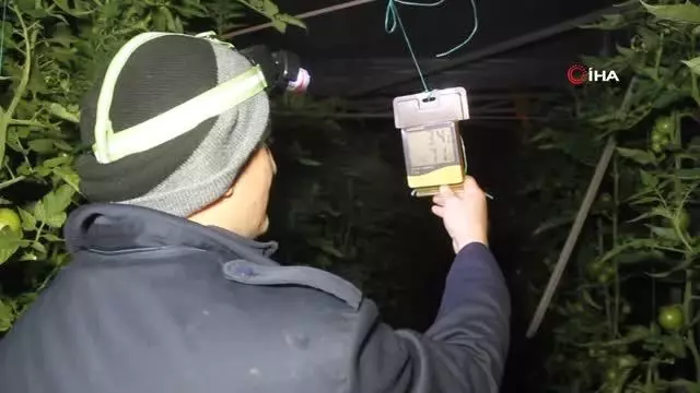 Fethiye'de sera üreticisinin sobalı don nöbeti Fethiye'de sera üreticisinin sobalı don nöbeti