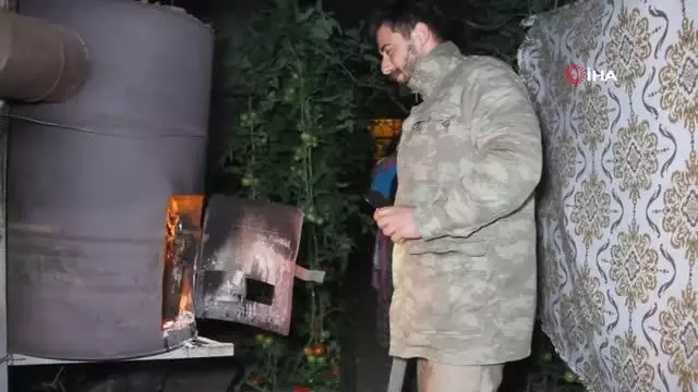 Fethiye'de sera üreticisinin sobalı don nöbeti Fethiye'de sera üreticisinin sobalı don nöbeti