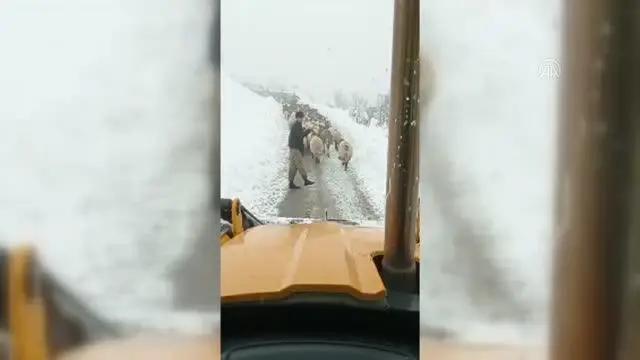 Karda mahsur kalan çobanlar ve koyun sürüsü kurtarıldı Karda mahsur kalan çobanlar ve koyun sürüsü kurtarıldı