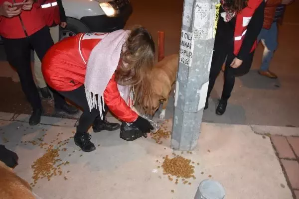 Kızılay'dan kısıtlamada görev yapan polis ve bekçilere çorba ikramı Kızılay'dan kısıtlamada görev yapan polis ve bekçilere çorba ikramı