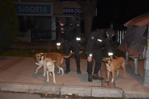 Kızılay'dan kısıtlamada görev yapan polis ve bekçilere çorba ikramı Kızılay'dan kısıtlamada görev yapan polis ve bekçilere çorba ikramı