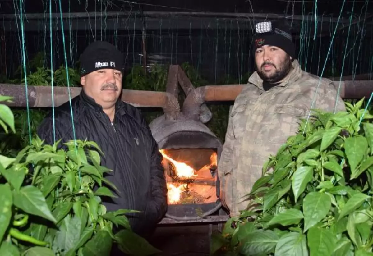 Kumluca'da sera üreticileri don nöbetine başladı