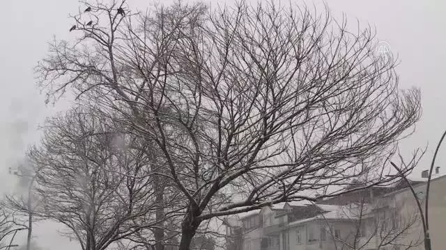 Soğuk hava ve kar yaşamı olumsuz etkiliyor