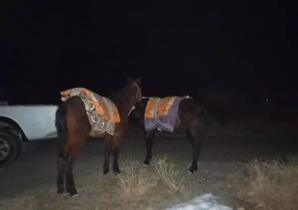 Son dakika gündem: Van'da katır sırtındaki çuvallarda, 122 kilo esrar ele geçirildi - Yeniden Son dakika gündem: Van'da katır sırtındaki çuvallarda, 122 kilo esrar ele geçirildi - Yeniden