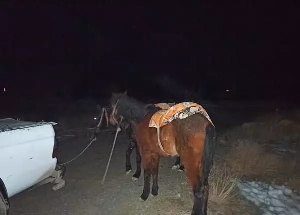 Son dakika gündem: Van'da katır sırtındaki çuvallarda, 122 kilo esrar ele geçirildi - Yeniden Son dakika gündem: Van'da katır sırtındaki çuvallarda, 122 kilo esrar ele geçirildi - Yeniden
