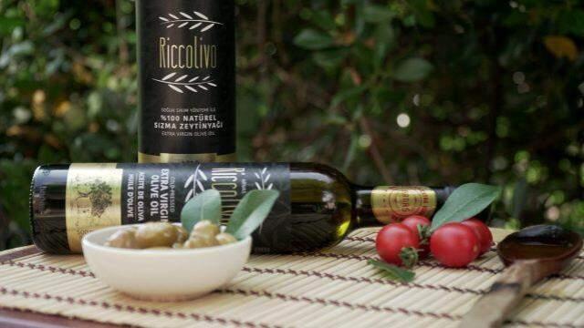 Zeytin yaprağı koronavirüse iyi geliyor mu? Zeytin yaprağı koronavirüse iyi geliyor mu?