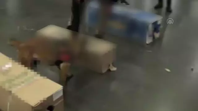 Atatürk Havalimanı'nda gül kolilerine konulmuş 24 kilo kokain ele geçirildi Atatürk Havalimanı'nda gül kolilerine konulmuş 24 kilo kokain ele geçirildi