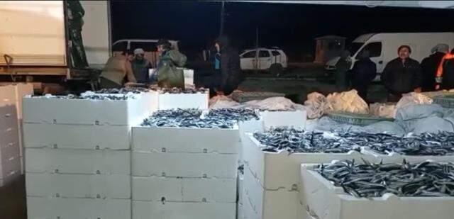 Balıkçılar hamsi avının serbest olduğu İğneada'ya akın etti