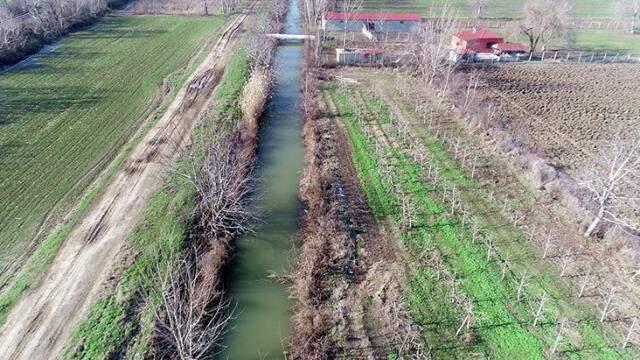 Bulgaristan'daki taşkın Edirne'ye su maymunlarını getirdi Bulgaristan'daki taşkın Edirne'ye su maymunlarını getirdi