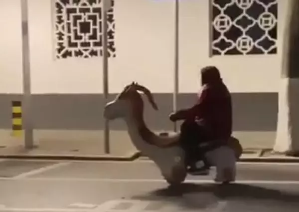 Çin'de 76 yaşındaki kadın scooter ile trafikte polise yakalandı Çin'de 76 yaşındaki kadın scooter ile trafikte polise yakalandı