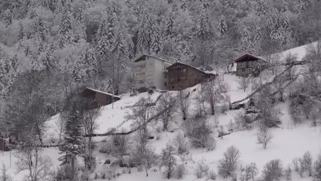 Doğu Karadeniz'de kar yağışı etkili oluyor