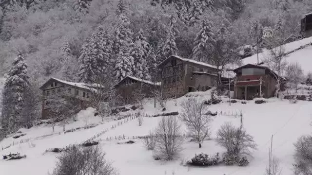 Doğu Karadeniz'de kar yağışı etkili oluyor