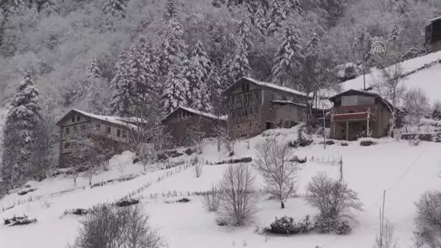 Doğu Karadeniz'de kar yağışı etkili oluyor