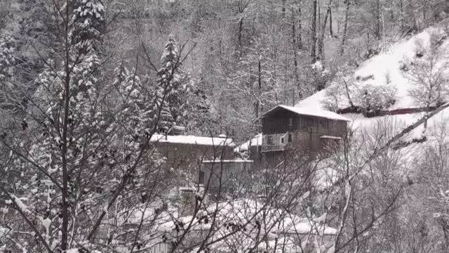 Doğu Karadeniz'de kar yağışı etkili oluyor