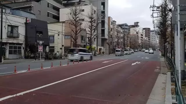Japonya'da Türk işletmeciler Kovid-19 nedeniyle zor durumda Japonya'da Türk işletmeciler Kovid-19 nedeniyle zor durumda