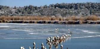 Son dakika haberi | 'Kuş cenneti' Yayla Gölü buz tuttu