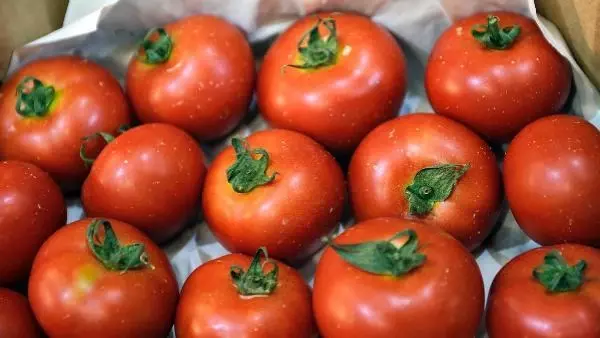 Rusya, Türk domatesinde kotayı 50 bin ton artırdı Rusya, Türk domatesinde kotayı 50 bin ton artırdı