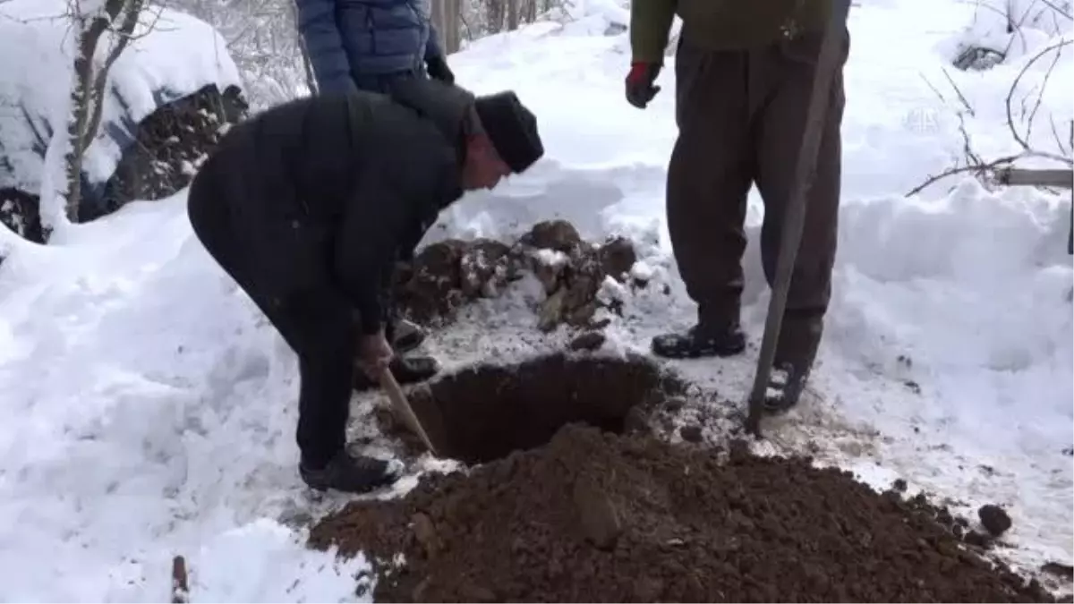 Şemdinli'de devrilen elektrik direkleri onarıldı