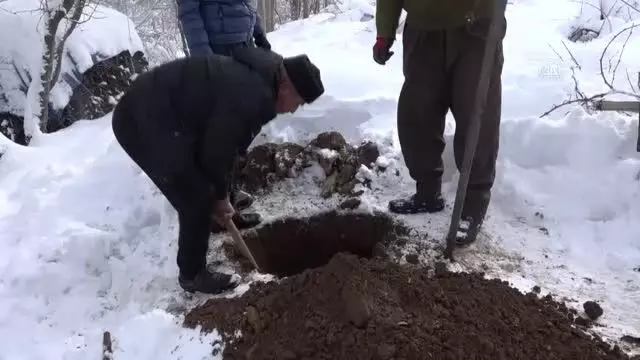 Şemdinli'de devrilen elektrik direkleri onarıldı