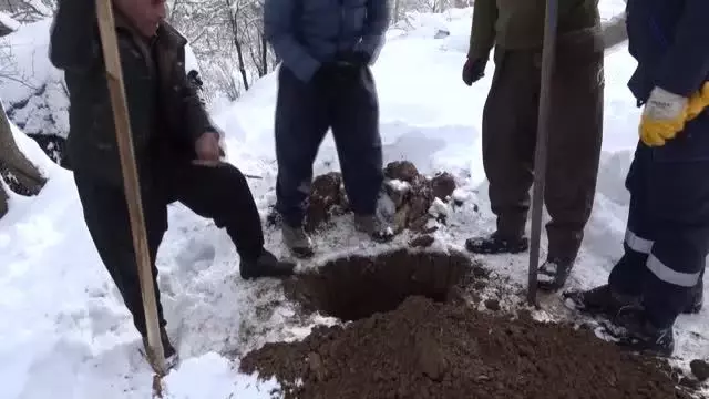 Şemdinli'de devrilen elektrik direkleri onarıldı