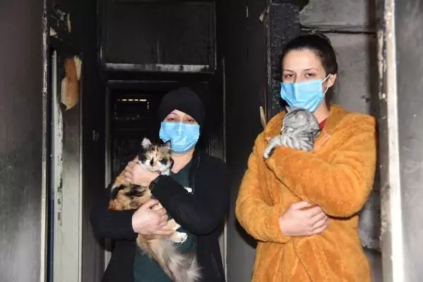 Yangında kedileri kurtarılan Sevgi: Kedilerime bir şey olsaydı kahrolurdum Yangında kedileri kurtarılan Sevgi: Kedilerime bir şey olsaydı kahrolurdum