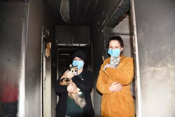 Yangında kedileri kurtarılan Sevgi: Kedilerime bir şey olsaydı kahrolurdum Yangında kedileri kurtarılan Sevgi: Kedilerime bir şey olsaydı kahrolurdum