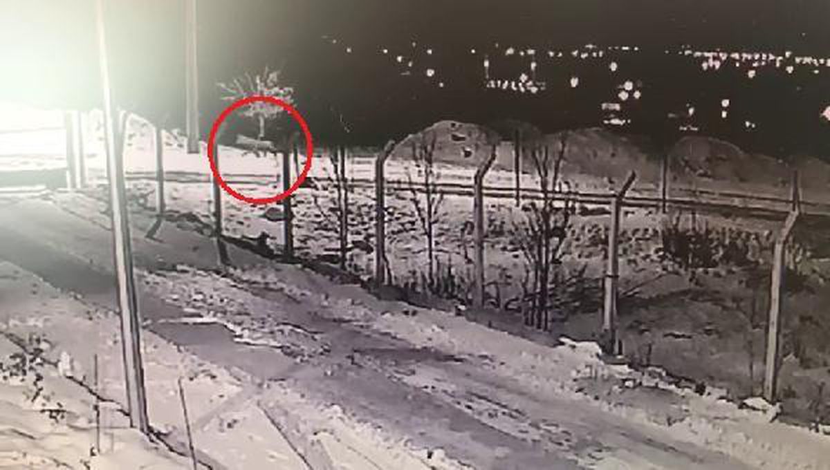 Aç kalan kurtlar yerleşim yerlerine kadar indi