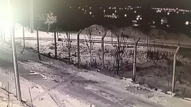 Son dakika gündem: Aç kalan kurtların yerleşim yerlerinde yiyecek araması güvenlik kamerasında Son dakika gündem: Aç kalan kurtların yerleşim yerlerinde yiyecek araması güvenlik kamerasında