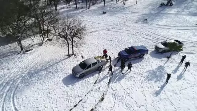 Bolu Dağı'na yılkı atları için yem bırakıldı Bolu Dağı'na yılkı atları için yem bırakıldı