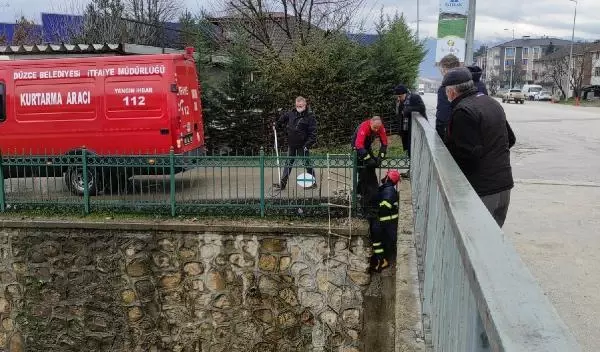 Dere yatağında mahsur kalan köpeği itfaiye kurtardı Dere yatağında mahsur kalan köpeği itfaiye kurtardı