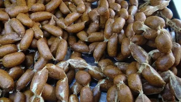 Hiçbir katkı maddesi olmayan deve sucuğunun kilosu 100 liradan satılıyor Hiçbir katkı maddesi olmayan deve sucuğunun kilosu 100 liradan satılıyor