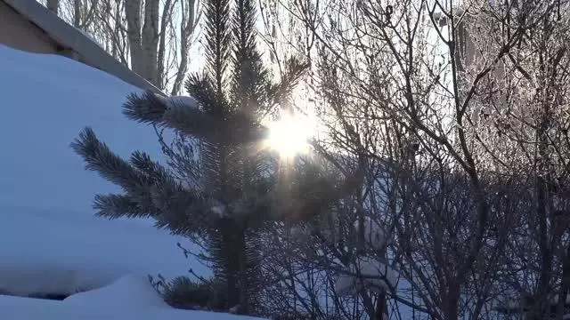 Doğu Anadolu'da dondurucu soğuklar Doğu Anadolu'da dondurucu soğuklar