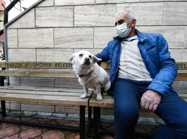 Dünya basınına manşet olan köpek, Trabzon'un 'Hachiko'su oldu Dünya basınına manşet olan köpek, Trabzon'un 'Hachiko'su oldu