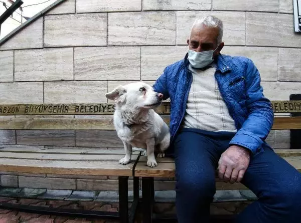 Dünya basınına manşet olan köpek, Trabzon'un 'Hachiko'su oldu Dünya basınına manşet olan köpek, Trabzon'un 'Hachiko'su oldu
