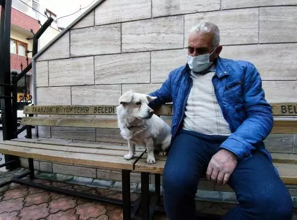 Dünya basınına manşet olan köpek, Trabzon'un 'Hachiko'su oldu Dünya basınına manşet olan köpek, Trabzon'un 'Hachiko'su oldu