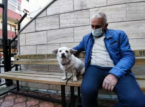 Dünya basınına manşet olan köpek, Trabzon'un 'Hachiko'su oldu Dünya basınına manşet olan köpek, Trabzon'un 'Hachiko'su oldu
