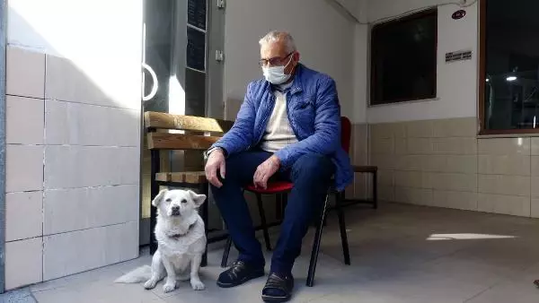 Dünya basınına manşet olan köpek, Trabzon'un 'Hachiko'su oldu Dünya basınına manşet olan köpek, Trabzon'un 'Hachiko'su oldu